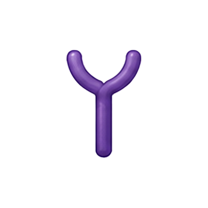 CD127 Receptor 1
