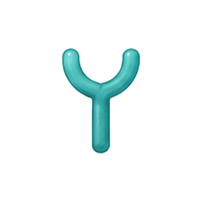 Fc Receptor 1