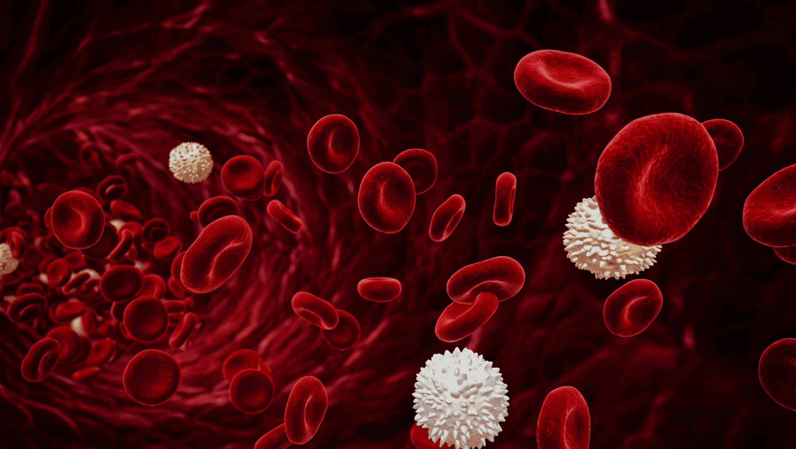Blood cells background