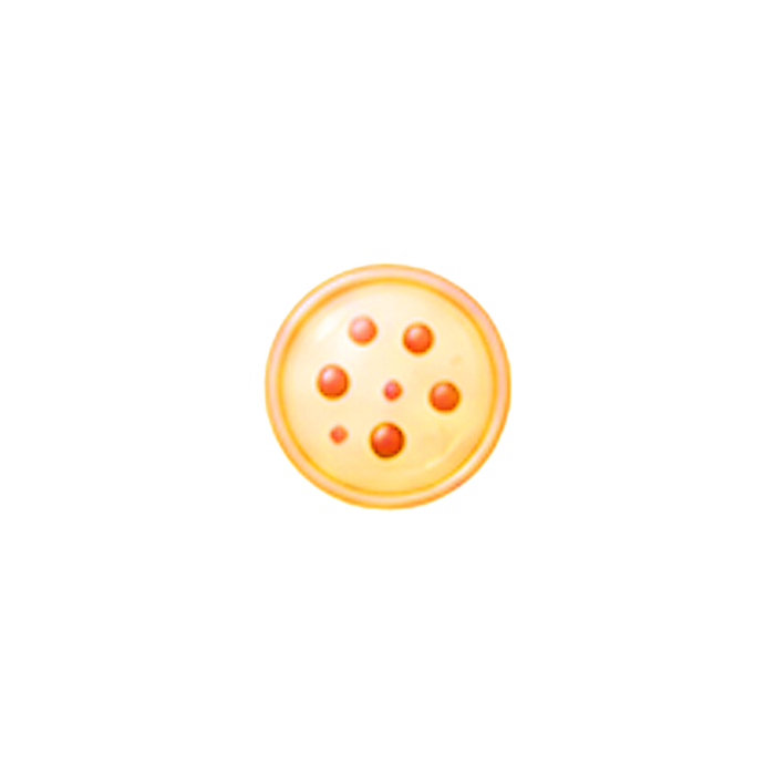 Lysosome 1