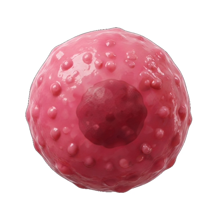 Tumor Cell